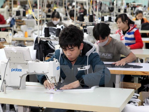 ទីក្រុងហូជីមិញលើកតម្កើងសមូហភាពបុគ្គលចំនួន២៩៥ដែលមានការរួមចំណែកសកម្មសំរាប់ការអភិវឌ្ឍន៍មណ្ឌលកែច្នៃ